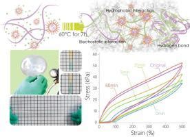 Ultra Stretchable Self Recovering Self Healing Cationic Guar Gum Poly