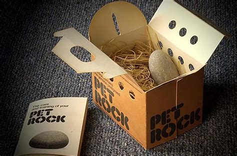 The Rise And Fall Of The Pet Rock A Look Back At The 1975 Holiday