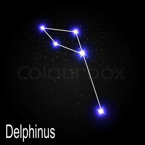 Delphinus Constellation with Beautiful ... | Stock vector | Colourbox