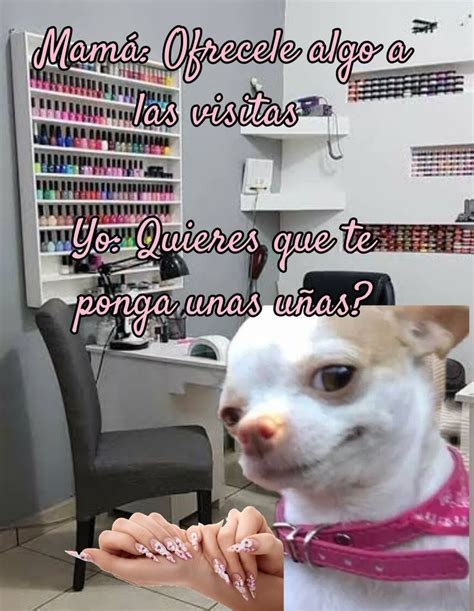 Ofrecele Algo A Las Visitas Memes De U As Manicura En Punta Frases