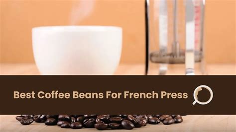 7 Best Coffee Beans For French Press - Light, Medium, Dark, Etc ...