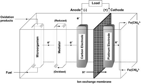 Schematic Diagram Showing The Principal Features Of A Microbial Fuel Cell Download Scientific