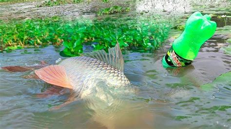 Amazing Fishing Technique Big Fish Hunting By Plastic Bottle Village