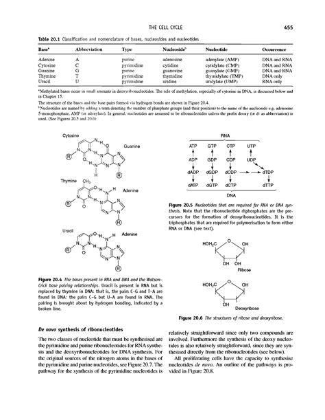 Watson Crick Base Pair Hydrogen Bonding Big Chemical Encyclopedia