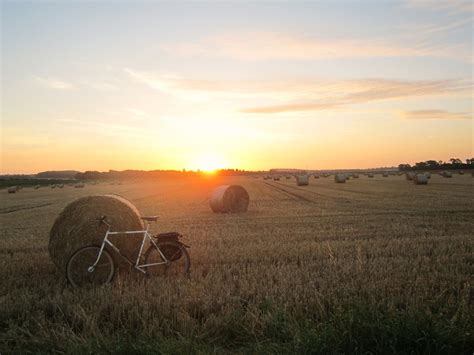 coastrider: Into September...Autumn harvest scenery, Big eBay clearout ...