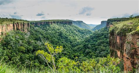 Ecoturismo No Brasil Saiba Tudo Sobre Viagens Blog Cvc