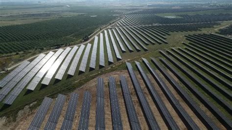 Iberdrola Inicia La Puesta En Marcha De Una Planta Fotovoltaica Que Suministrarán Energía A 22