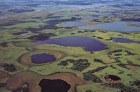 Reserva Natural Esteros Del Iber Corrientes Con Im Genes