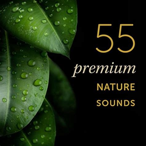 55 Premium Nature Sounds Most Popular Nature Sound Effects On Ea