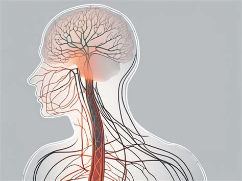 Understanding the Vasovagal Response to Needles: Causes, Symptoms, and ...