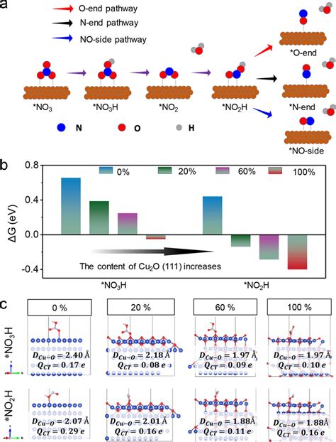 Dft Calculations A Three Different Pathways Of No Species Absorbed