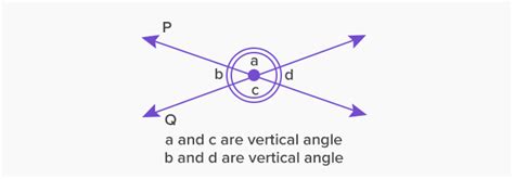 What Are Intersecting Lines Definition Properties Example