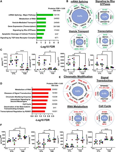 A Cell Autonomous Signature Of Dysregulated Protein Phosphorylation