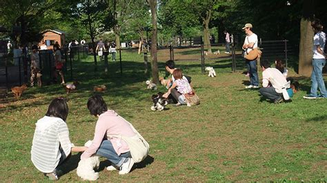 昭和記念公園ドッグラン【東京都立川市】 いんぬis