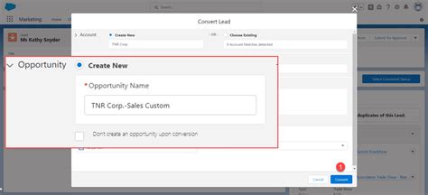 How To Convert Lead To Account Contact Or Opportunity In Salesforce Salesforce Faqs