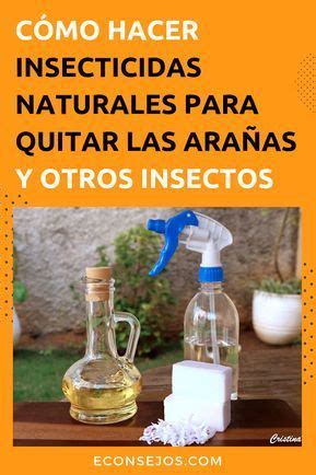 7 Insecticidas Naturales Para Eliminar Los Insectos Insecticidas