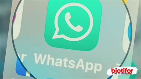 Fungsi Aplikasi WhatsApp Komunikasi Lebih Mudah Dan Efisien Biotifor