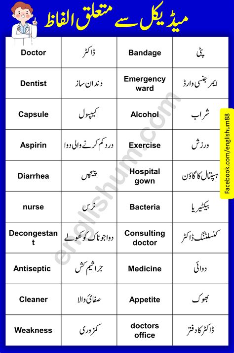 66 Hospital Vocabulary In English And Urdu Artofit