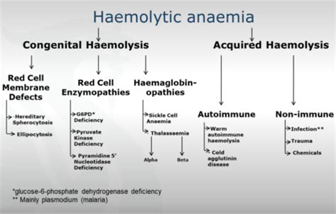 Lecture Sickle Cell Thalassemia And Haemolytic Anaemia Part