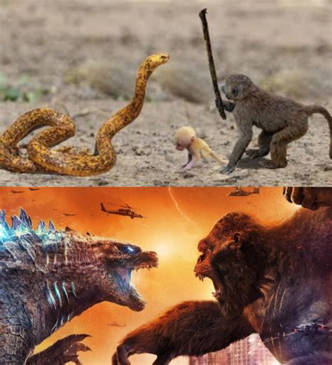 Godzilla Vs King Kong Meme Generator