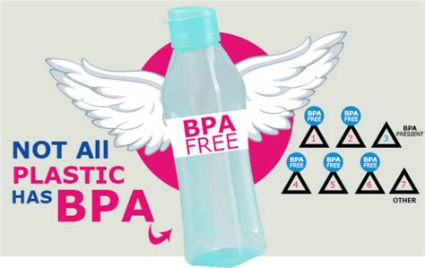 Understanding The Risks Of Bpa In Plastics Varmora