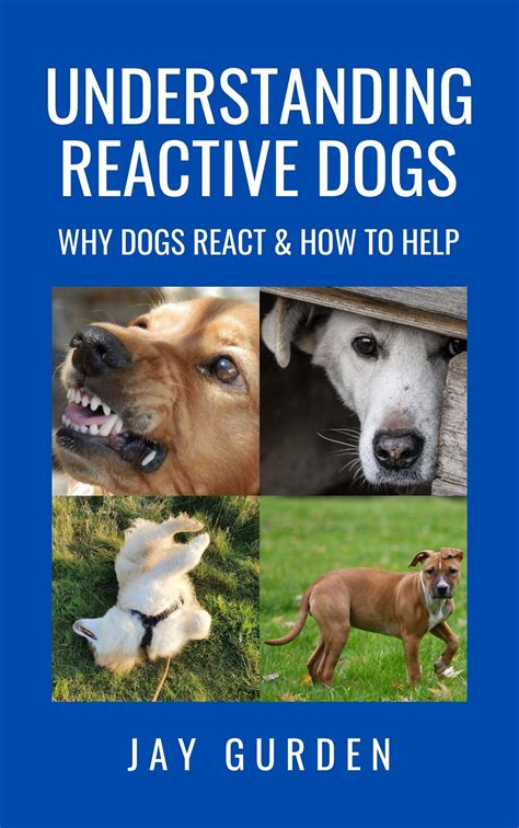 Understanding Reactive Dogs: Why Dogs React and How to Help by Jay