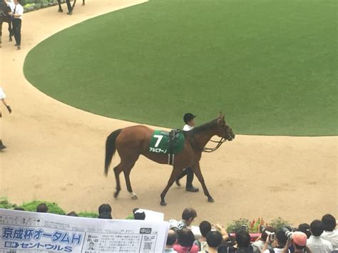 【紫苑ステークス2022予想】秋競馬開幕！ Taroの競馬〜2nd Season〜