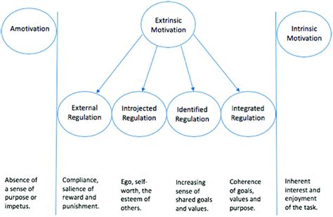 The Self Determination Theory framework (adapted from Ryan and Deci ...