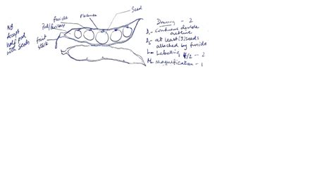 Biology Diagrams - Images for Biology - Diagram Examples for Biology