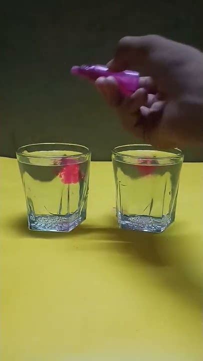 Awesome Sugar Water Density Science Experiments Shorts Trending