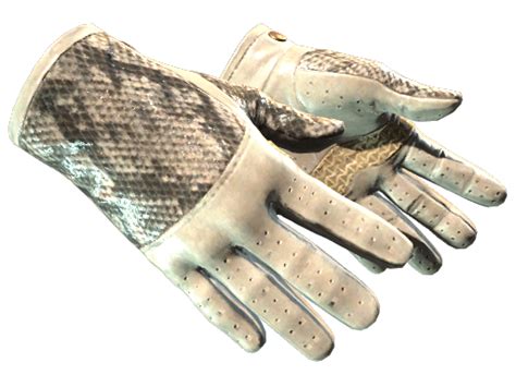 Водительские перчатки - CS2 Items