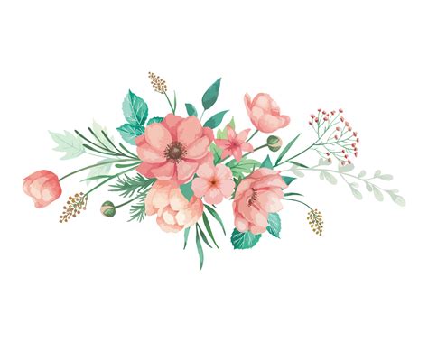 Watercolor Coral Anemone Flowers Bouquet Illustration 11098202 PNG