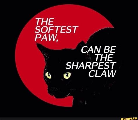 The Softest Paw Can Be The Sharpest Claw Ifunny