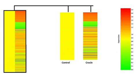 Nutrients Free Full Text Dietary Crocin Is Protective In Pancreatic