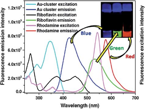 Fluorescence Excitation And Emission Spectra Of Each Of These Light