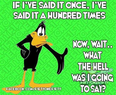 Daffy Duck Daffy Duck Quotes Funny Cartoon Quotes Funny Picture Quotes