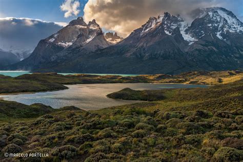 Patag Nia Calafate Torres Del Paine E El Chalt N Dreamscapes