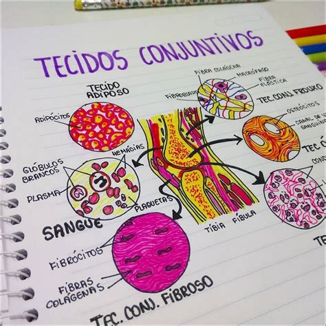 Mapa Mental Sobre Tecido Conjuntivo LIBRAIN