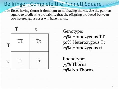 Genotype Vs Phenotype Punnett Square