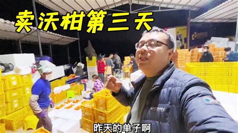 大磊卖沃柑第三天了，直播间里没有人，还不少出单 Youtube