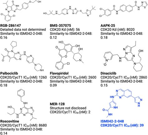 Alphafold Accelerates Artificial Intelligence Powered Drug Discovery