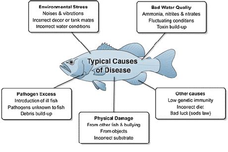 Diseases And Their Causes