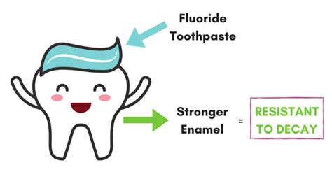 Fluoride And Oral Health Faqs The Vallance Dental Centre