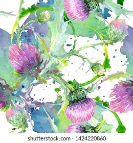 Pink Thistle Floral Botanical Flowers Wild Stock Illustration