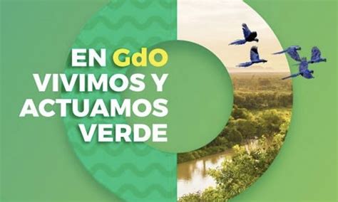 Diario Occidente Gdo Se Une A La Cop Promoviendo La Sostenibilidad