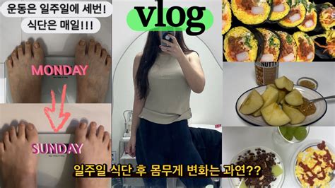 다이어트vlog 일주일동안 식단하면 얼마나 빠질까 ㅣ운동하는여자ㅣ급찐급빠ㅣ운동브이로그ㅣ직장인브이로그ㅣ유지어터ㅣ다이어터ㅣ