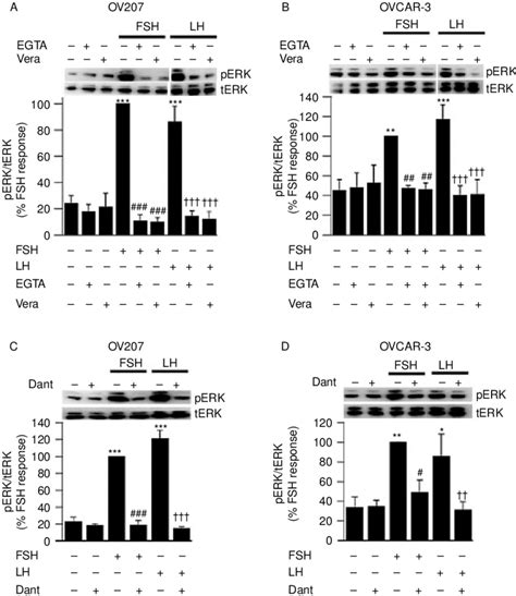 Calcium Is Required For Gonadotropin Induced Erk12 Phosphorylation