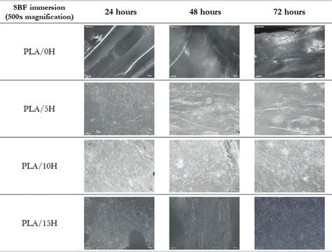 Digital Micrographs Of 3D Printed Polylactic Acid Hydroxyapatite