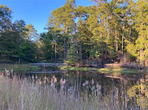 Clear Springs campground - Along the Ray