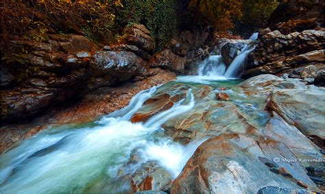 Lagodekhi Nature Reserve